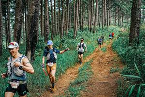 BIB: 
                            <button type="button" onclick="openModal(25713757)" class="btn btn-primary btn-sm float-right btn-popup" data-toggle="modal" data-target=".modal-high-quality">
                        <i class="fas fa-shopping-cart"></i> Add to Cart
                    </button>
                                            <button type="button" onclick="isThisMe(25713757, true)" class="btn btn-success btn-sm float-right btn-popup btn-isme hidden" data-toggle="tooltip" data-placement="bottom" title="นี่คือรูปของคุณใช่ไหม คลิกที่นี่เพื่อเอาเข้าอัลบั้ม">
                        <i class="fas fa-plus"></i> Add to album
                    </button>
                    <button type="button" onclick="isThisMe(25713757, false)" class="btn btn-warning btn-sm float-right btn-popup btn-isnotme hidden">
                        <i class="fas fa-ban"></i> Remove from album
                    </button>